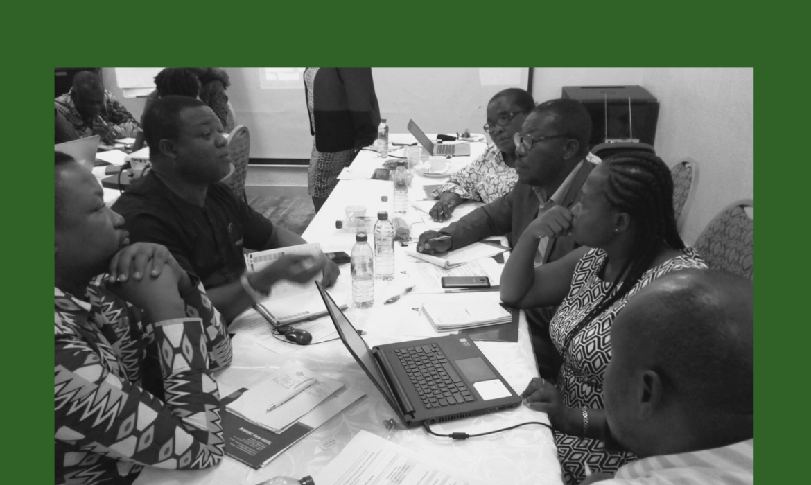 Sanitation Status in Ghana and the role of CSOs in the policy processes – Baseline Report