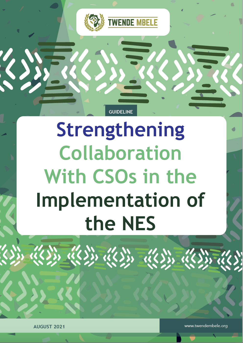 Strengthening Collaboration With CSOs in the Implementation of the NES – Guideline