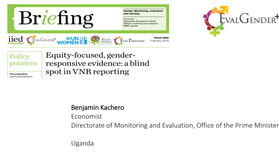 Equity-focused, gender-responsive evidence: a blind spot in VNR reporting