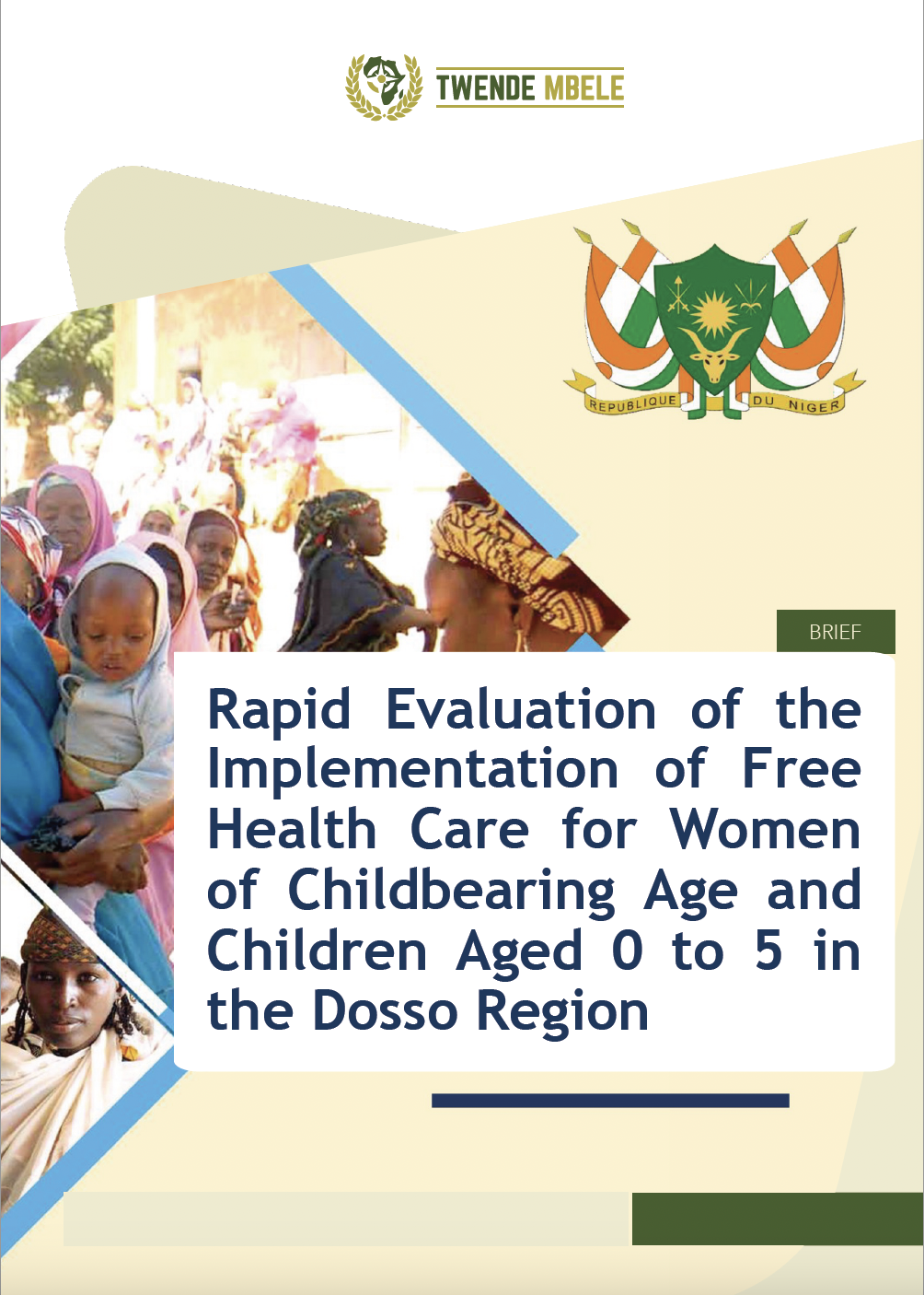 Evaluation of the Implementation of Free Health Care for Women of Childbearing Age and Children Aged 0 to 5 in the Dosso Region – Brief