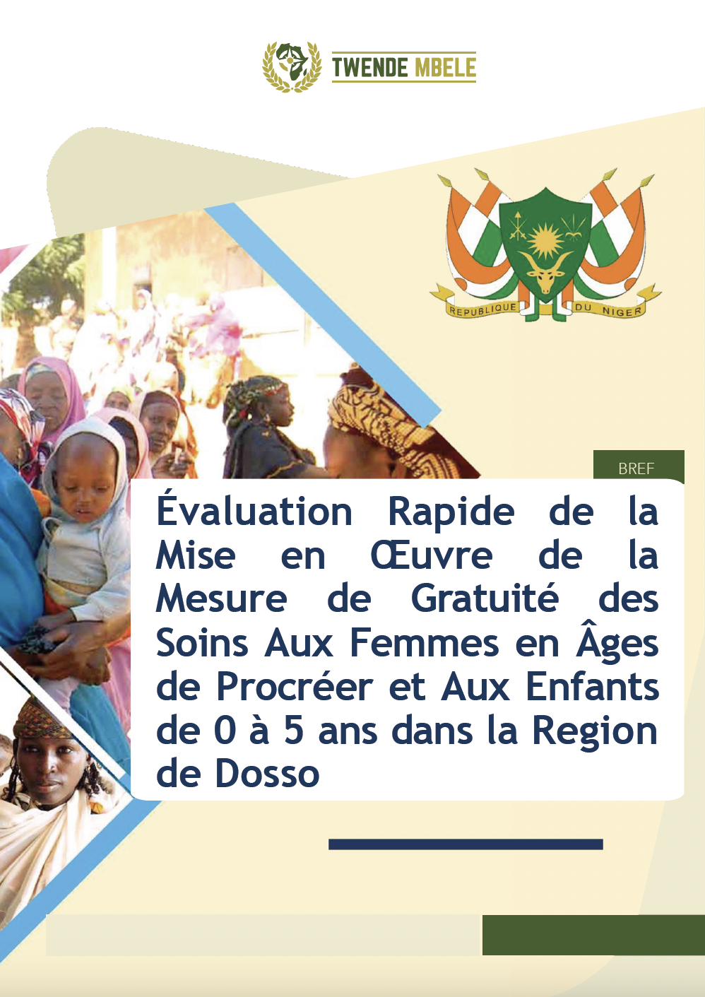 Rapide de la Mise en OEuvre de la Mesure de Gratuité des Soins Aux Femmes en Âges de Procréer et Aux Enfants de 0 à 5 ans dans la Region de Dosso – Bref